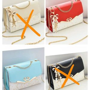 Bag _ 002